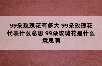 99朵玫瑰花有多大 99朵玫瑰花代表什么意思 99朵玫瑰花是什么意思啊